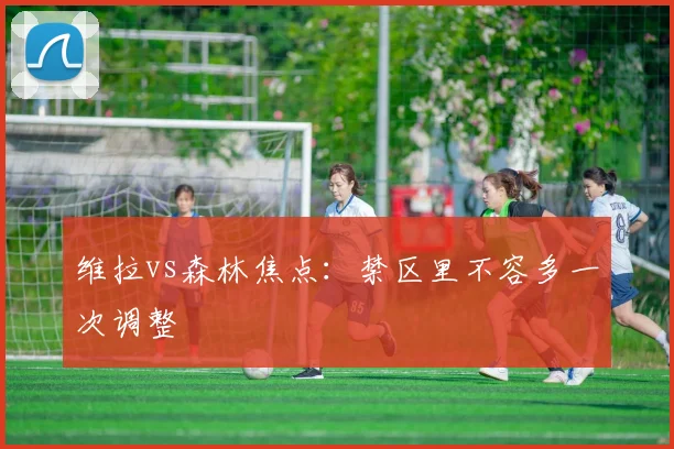 维拉vs森林焦点：禁区里不容多一次调整